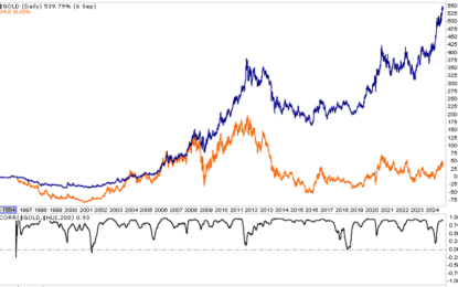 Are Gold Miners Better Than Gold?