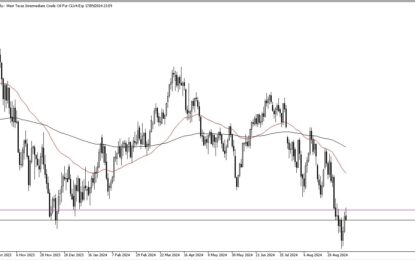 Crude Oil Forecast: Gives Up Early Gains On Friday