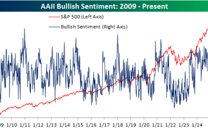 Half A Year Of Bulls