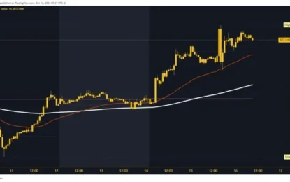 The Bitcoin Price Rose To A New October High Yesterday