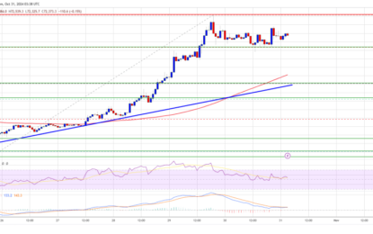 Bitcoin Price Targets Fresh ATH: Will It Make History Again?