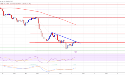 Cardano Struggles: Can Bulls Prevent Further Losses?