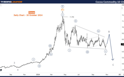 Elliott Wave Technical Analysis – Cocoa Commodity