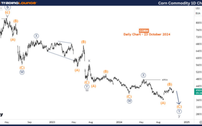 Corn Commodity Elliott Wave Technical Analysis – Wednesday, October 23