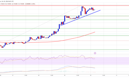 Dogecoin Rockets Ahead: Will The Rally Hold?