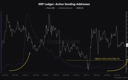 XRP Active Addresses Hits 6-Month Peak—Could A Market Shift Be Coming?