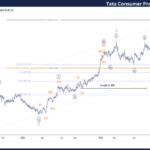 Elliott Wave Technical Analysis: Tata Consumer Product