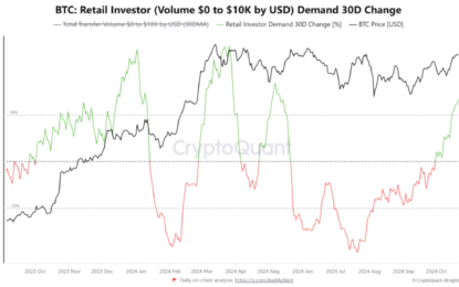 Bitcoin Retail Demand Rises 13% In 1 Month: Time For Q4 2024 Rally?