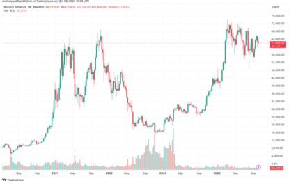 Bitcoin’s Path To $80,000 “Melt-Up” In Q4 2024 – Details Inside