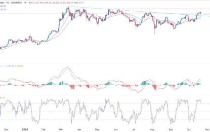 BTC/USD Forex Signal: Bitcoin Could Still Retest Its All-Time High 
                    
BTC/USD technical analysis