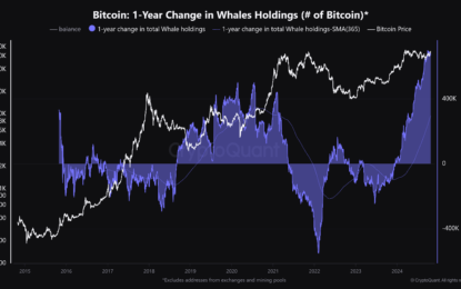 Bitcoin Price Rebounds Above $67,000 As Whales Continue To Accumulate