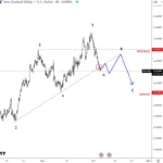 Kiwi Is Slowing Down For A Correction