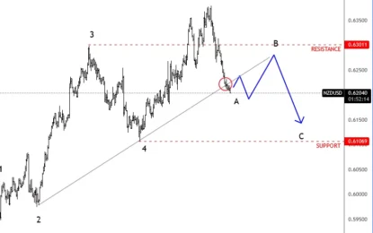 Kiwi Is Slowing Down For A Correction