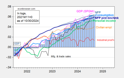 Business Cycle Indicators – GDP And Private NFP