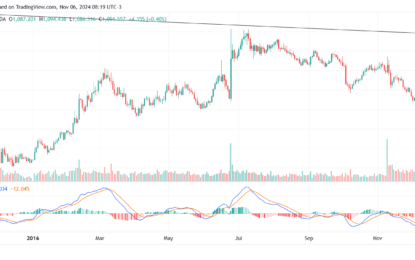 Gold Correction After Trump’s Election: Why 2024 Is Not 2016