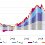 Polish Inflation Rises As Energy Price Freeze Extended Into 2025