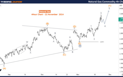 Natural Gas Commodity Elliott Wave Technical Analysis – Friday, November 22