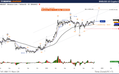 Elliott Wave Technical Analysis: Binance Crypto Price News – Monday, Nov. 11