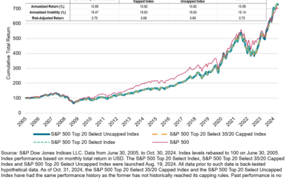 The S&P 500 Top 20 Select Indices: A Deep Dive Into Mega-Cap Performance