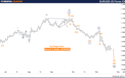 Elliott Wave Technical Analysis: Euro/U.S. Dollar – Thursday, Nov. 21