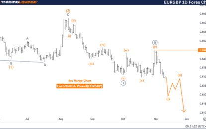 Elliott Wave Technical Analysis: Euro/British Pound – Monday, Nov. 11