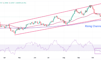 Pound Sterling Price News And Forecast: GBP Moves Higher In Us Presidential Election Day