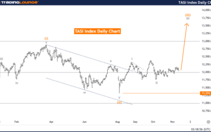 Elliott Wave Technical Analysis TASI Index