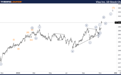 Elliott Wave Technical Analysis: Visa Inc. – Friday, Nov. 8