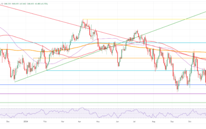 Crude Oil Finds Cushion Even As Traders Expect More Downside Under Trump