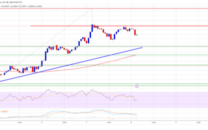 XRP Price Gains Fade Once Again: Will Support Hold?