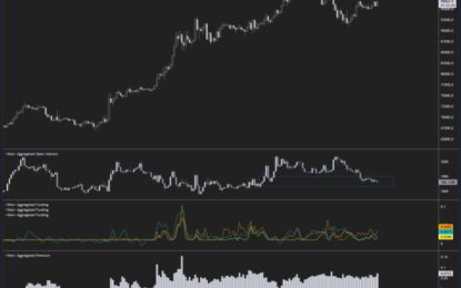 Bitcoin Resets Open Interest, Targets $100,000 After Holding Key Support – Details