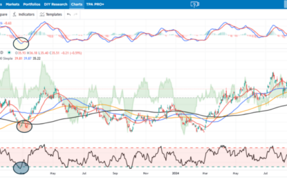 Gold Miners Enter The Bears Den