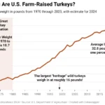 How Big Is That Turkey On The Table?