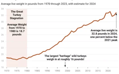 How Big Is That Turkey On The Table?