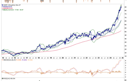 Walmart Shares: Great Fundamentals But At A Frothy Price