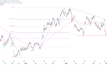 Adobe Stock Price Recoiled In 2024: Will It Rebound In 2025?