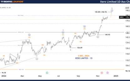 Unlocking ASX Trading Success: Xero Limited