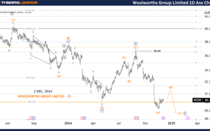 Unlocking ASX Trading Success – Woolworths Group Limited