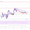 Cardano Struggles To Hold Ground: Another Drop Incoming?