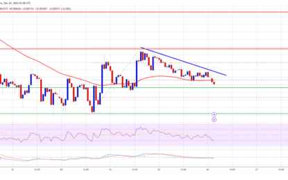 Cardano Struggles To Hold Ground: Another Drop Incoming?