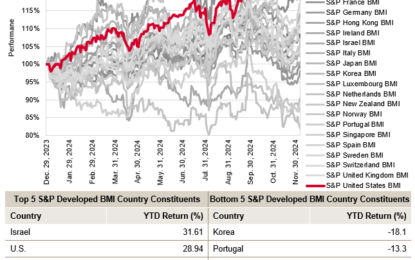 The Global Equity Landscape: Struggles And Surprises In 2024