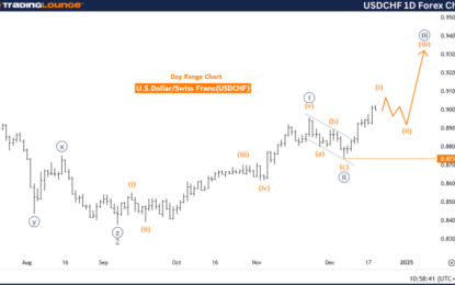 Elliott Wave Technical Analysis: U.S. Dollar/Swiss Franc – Thursday, Dec. 19