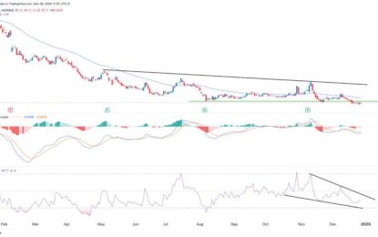 GoPro Stock Price Collapsed In 2024: Will It Recover In 2025?