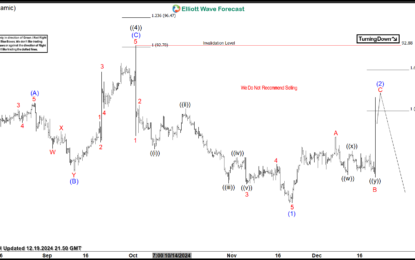 Nike Reacting Perfectly From Elliott Wave Hedging Area