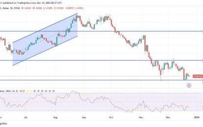 EUR/USD Analysis: Reasons For The Euro’s Decline Against The Dollar And Will The Performance Continue?