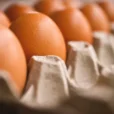 Eggflation: Dozen-Pack At Supermarket Hit Record Highs As Bird Flu Ravages Farms