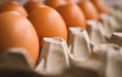 Eggflation: Dozen-Pack At Supermarket Hit Record Highs As Bird Flu Ravages Farms