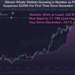 Bitcoin Whales On The Rise As Market Sees Price Boom – What It Means