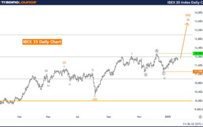 Elliott Wave Technical Analysis: IBEX 35 – Thursday, Jan. 23