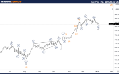 Netflix Inc. Stocks Elliott Wave Technical Analysis – Tuesday, January 7